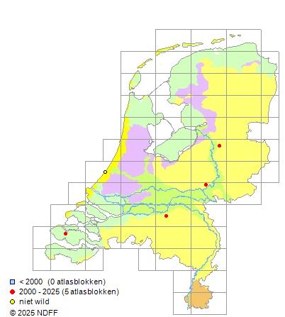 Kanaalmeerval Ictalurus punctatus Verspreidingskaart RAVON