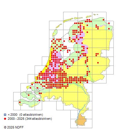 Kaukasische dwerggrondel Knipowitschia caucasica Verspreiding RAVON