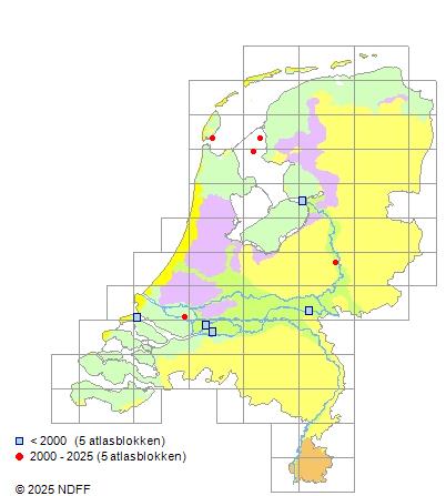 Kleine marene Coregonus albula Verspreidingskaart NDFF