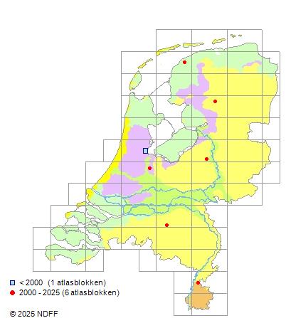 Afrikaanse Meerval Verspreidingskaart RAVON