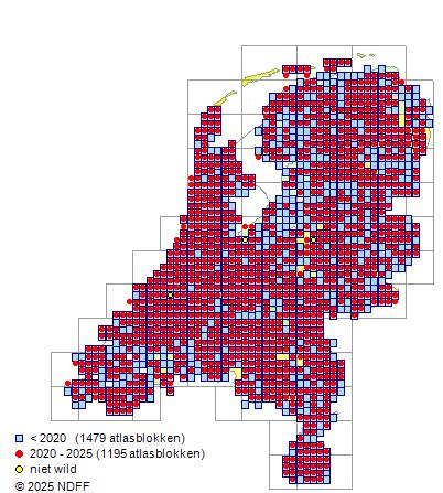 verspreidingskaart