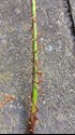 foto951772